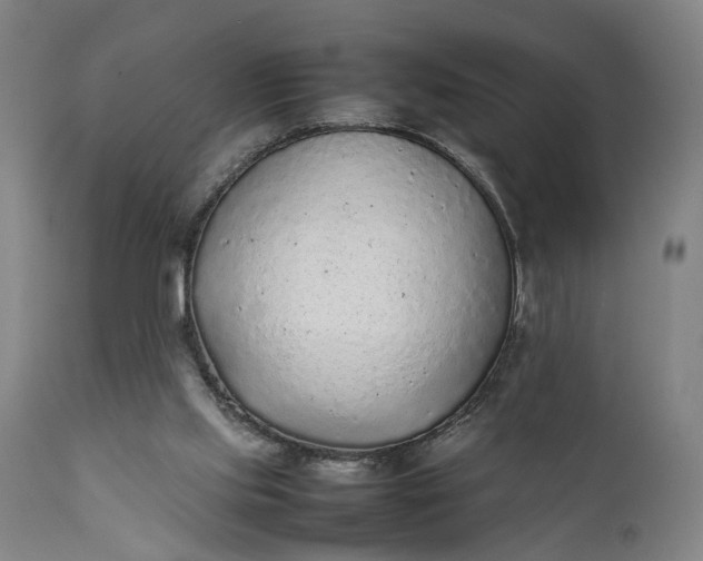 X0000111630061200907311237