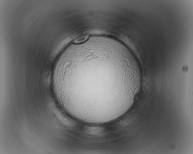 X0000111630063200907311237