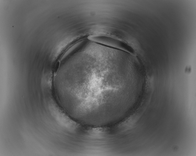 X0000111630064200907311237