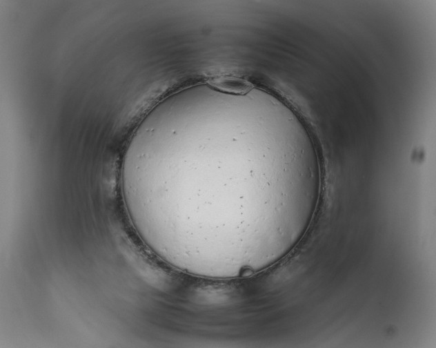 X0000111630065200907311237