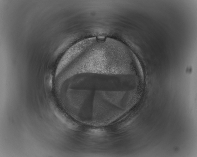 X0000111630067200907311237