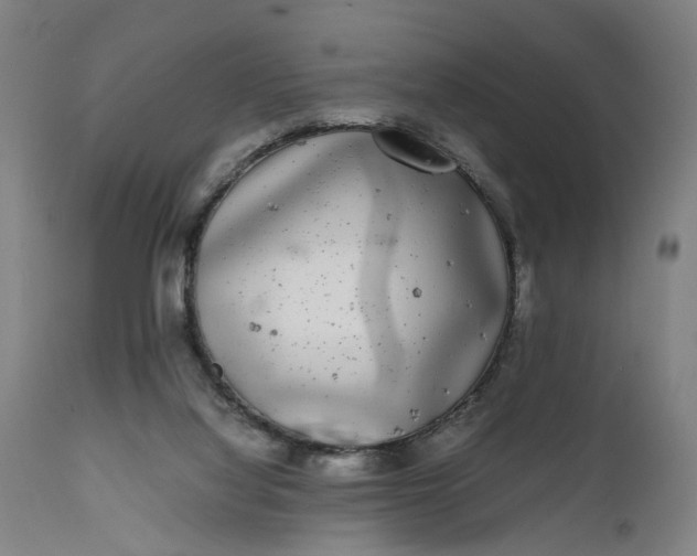 X0000111630068200907311237