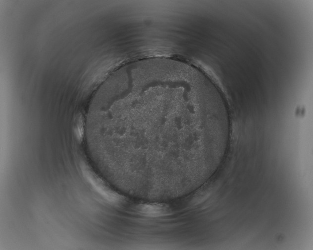 X0000111630069200907311237