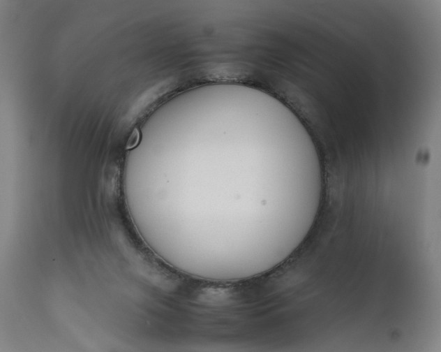 X0000111630071200907311237