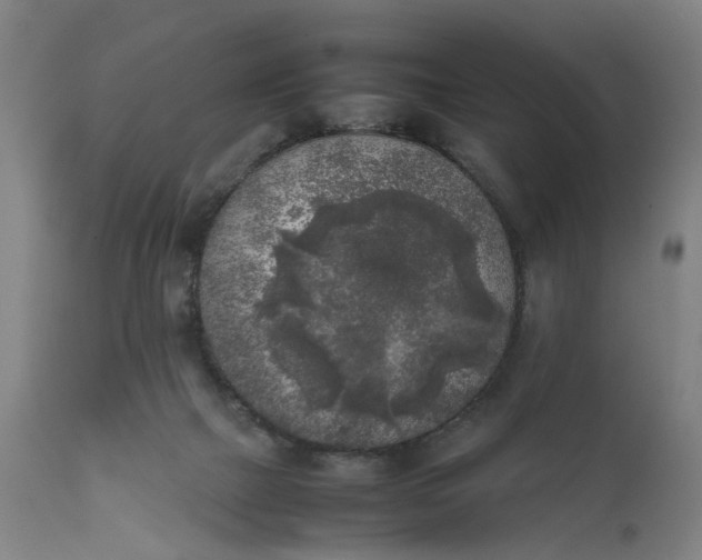 X0000111630073200907311237