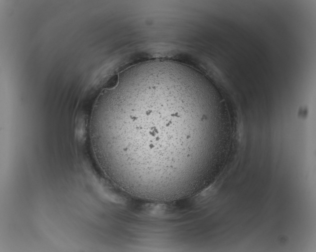 X0000111630074200907311237