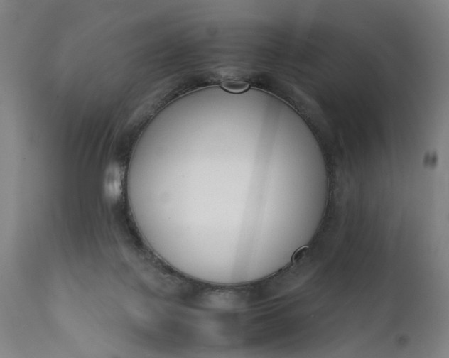 X0000111630075200907311237