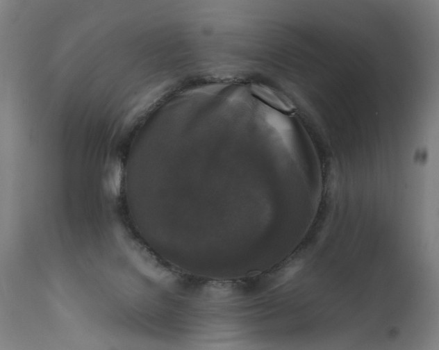 X0000111630076200907311237