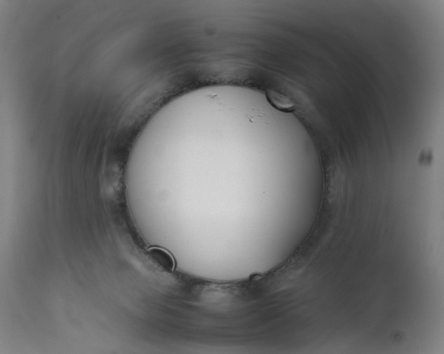 X0000111630077200907311237