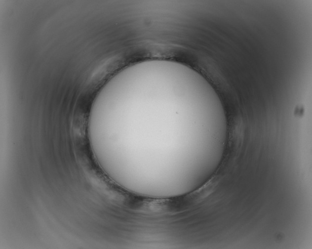 X0000111630078200907311237