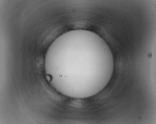 X0000111630079200907311237