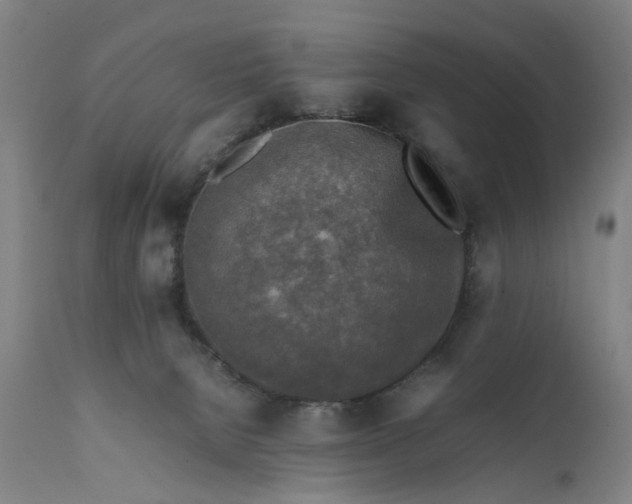 X0000111630080200907311237