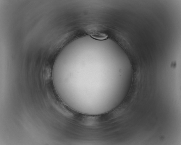 X0000111630081200907311237