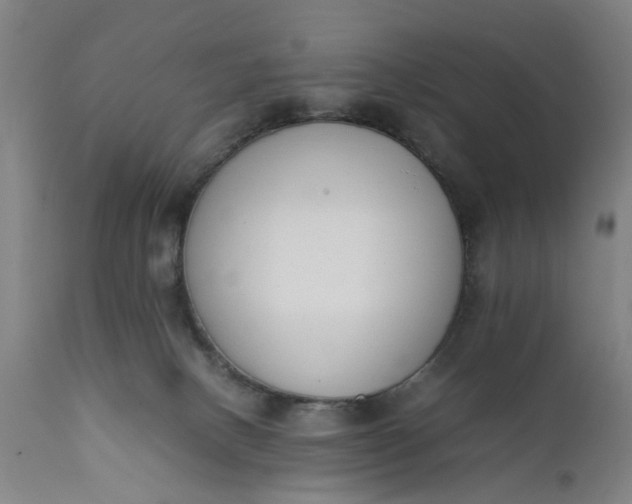 X0000111630082200907311237