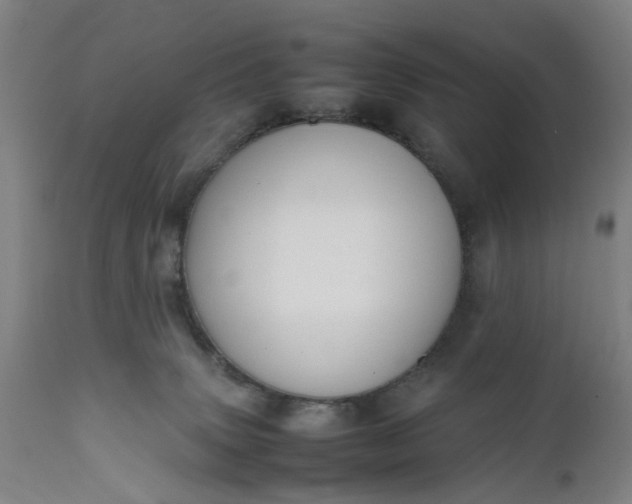 X0000111630083200907311237