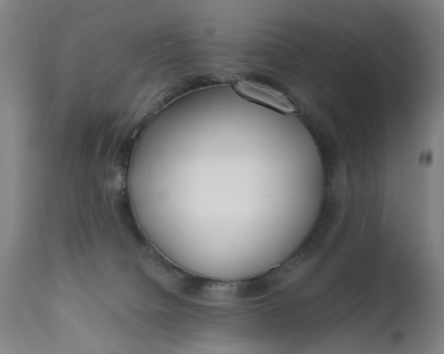 X0000111630084200907311237