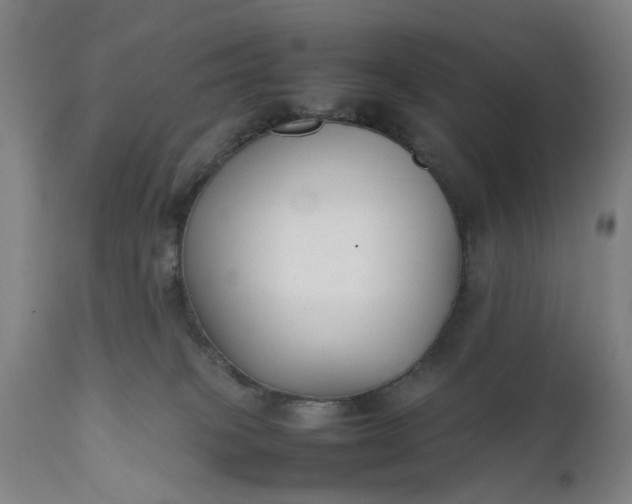 X0000111630085200907311237