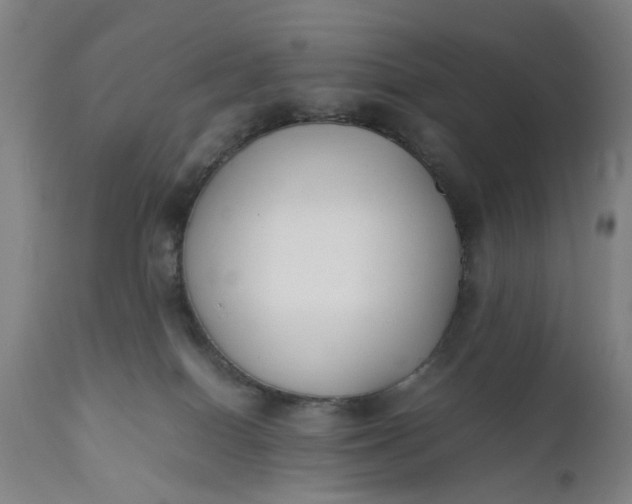 X0000111630086200907311237