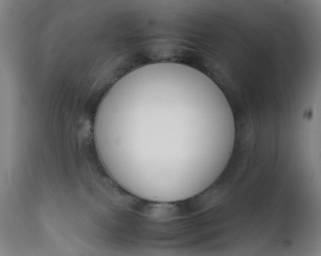 X0000111630087200907311237