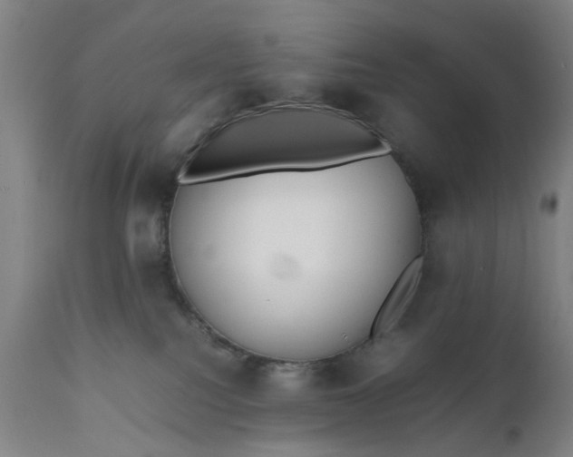 X0000111630088200907311237