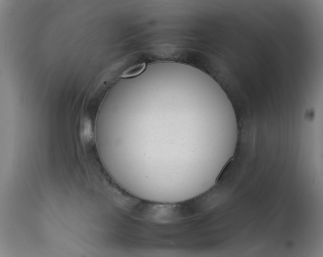 X0000111630089200907311237