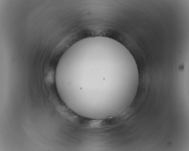 X0000111630090200907311237