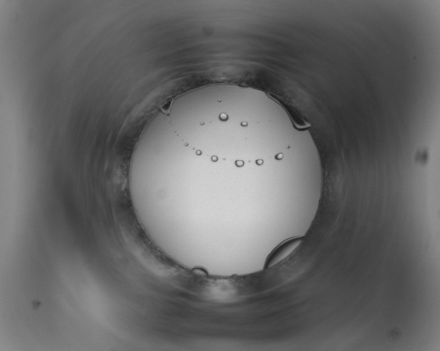 X0000111630091200907311237