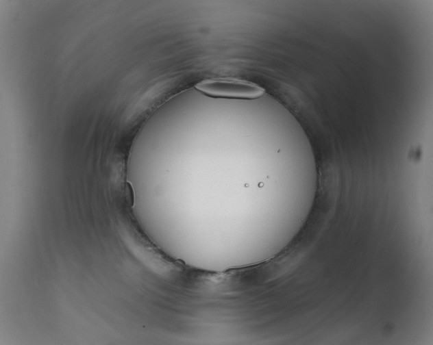 X0000111630092200907311237