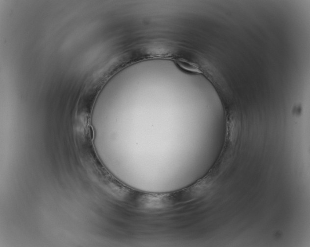 X0000111630093200907311237