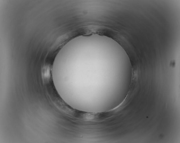 X0000111630094200907311237