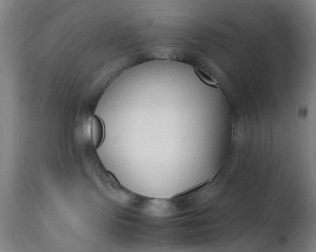 X0000111630095200907311237