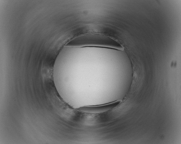 X0000111630096200907311237