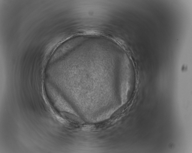 X0000111630097200907311237