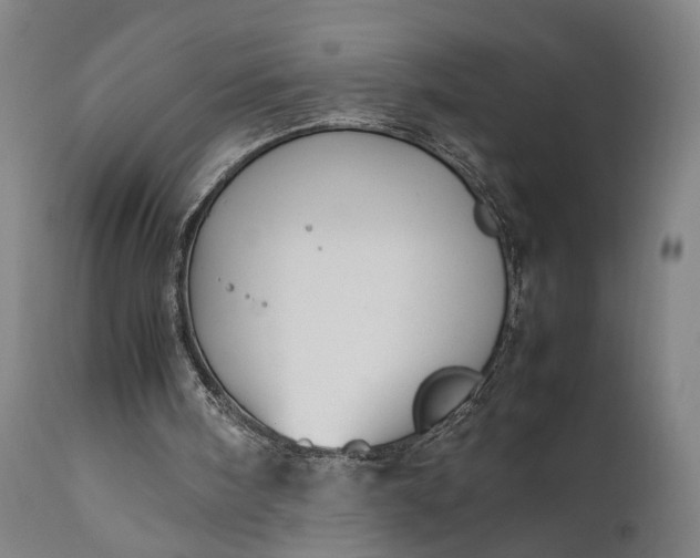 X0000111630098200907311237