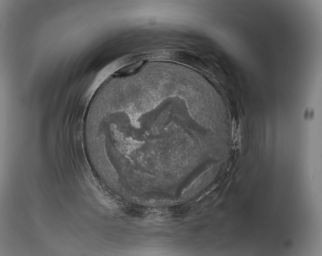 X0000111630099200907311237