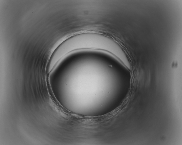 X0000111630100200907311237