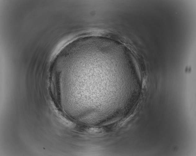 X0000111630101200907311237