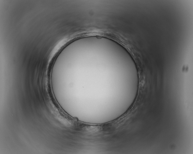 X0000111630102200907311237