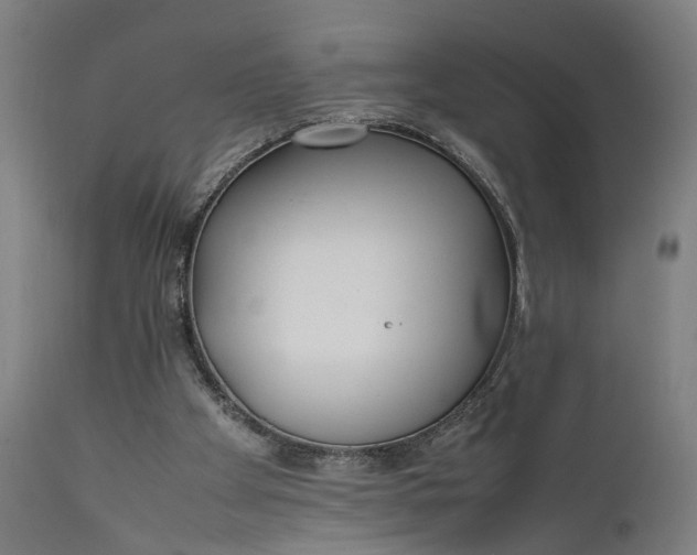 X0000111630105200907311237