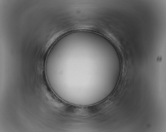 X0000111630107200907311237