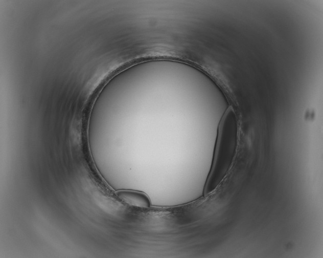 X0000111630108200907311237