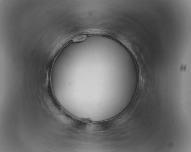 X0000111630109200907311237