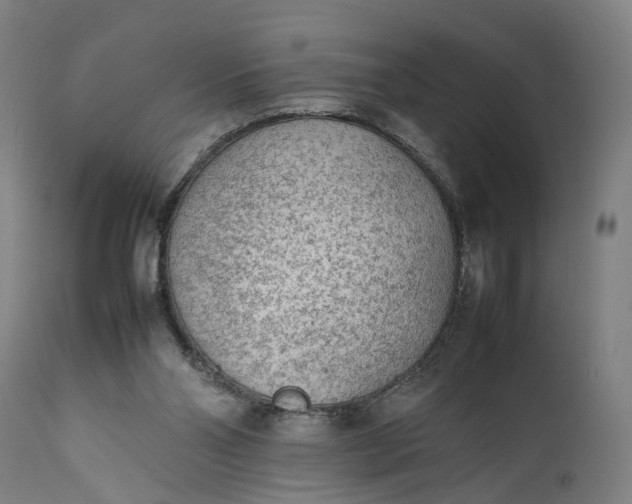 X0000111630110200907311237