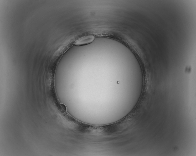 X0000111630113200907311237