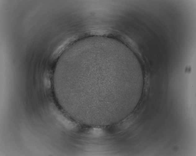 X0000111630114200907311237