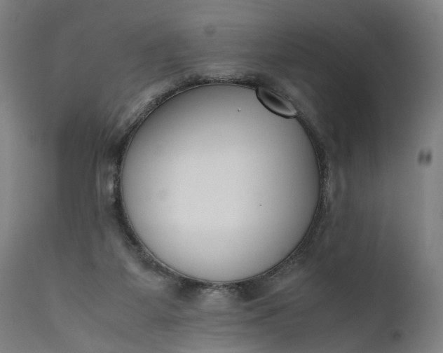 X0000111630115200907311236