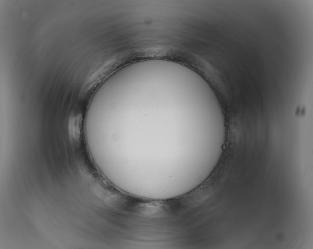 X0000111630118200907311236