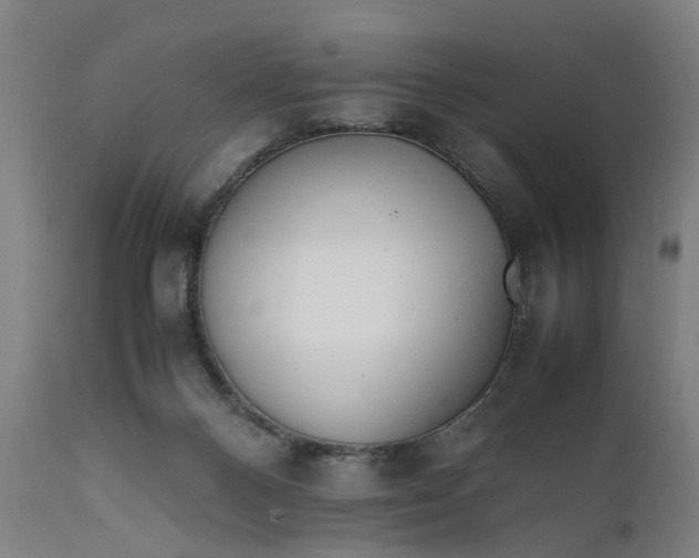 X0000111630120200907311236