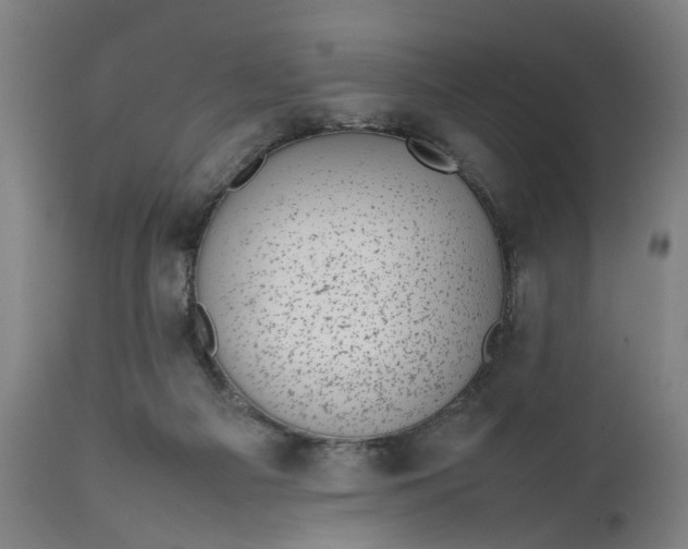 X0000111630121200907311236