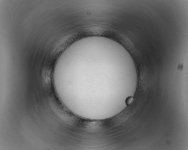 X0000111630122200907311236